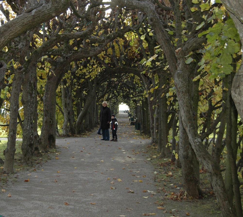 Blättertunnel am Dachauer Schloss