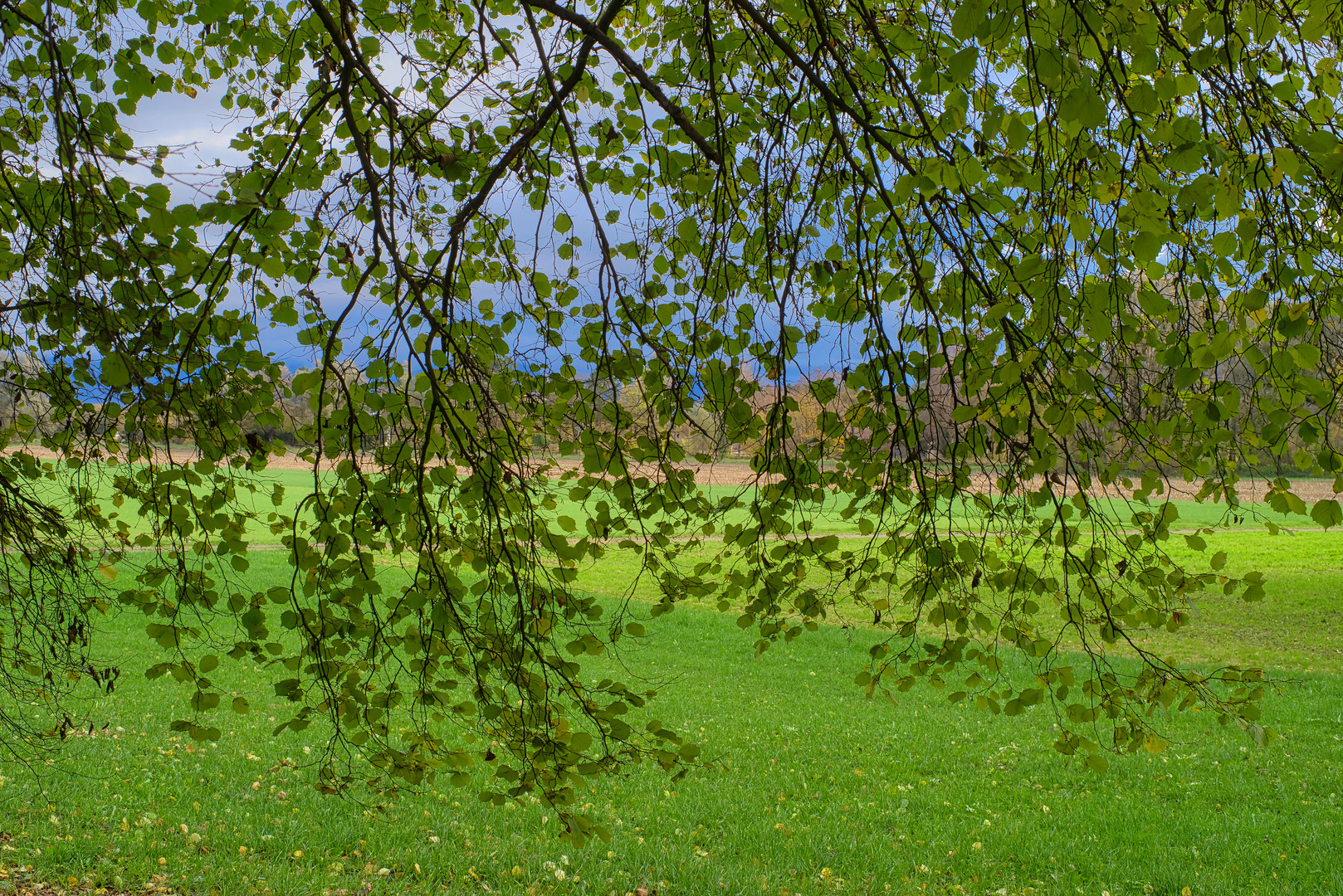 Blättervorhang