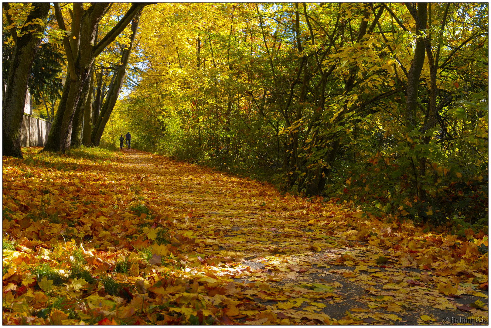 Blätterweg