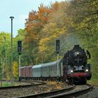 Blätterwirbel ... oder einfach nur `Herbst´