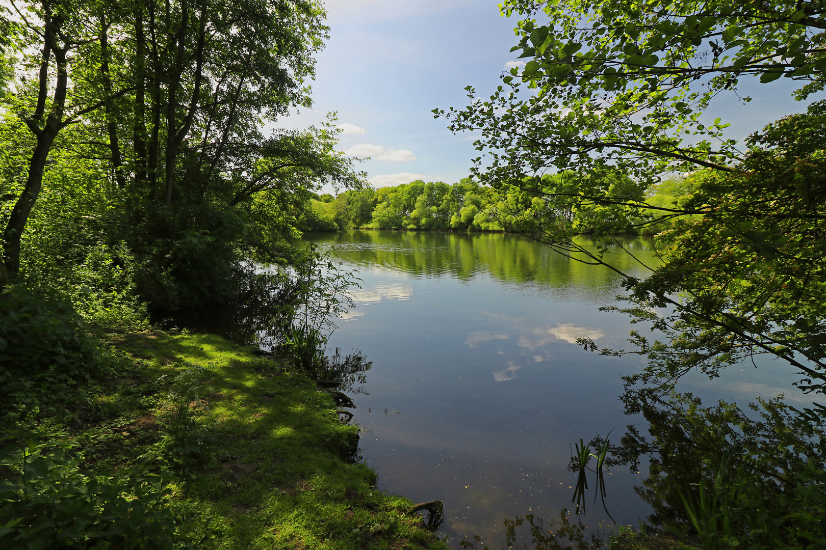 Bläue überm Teich