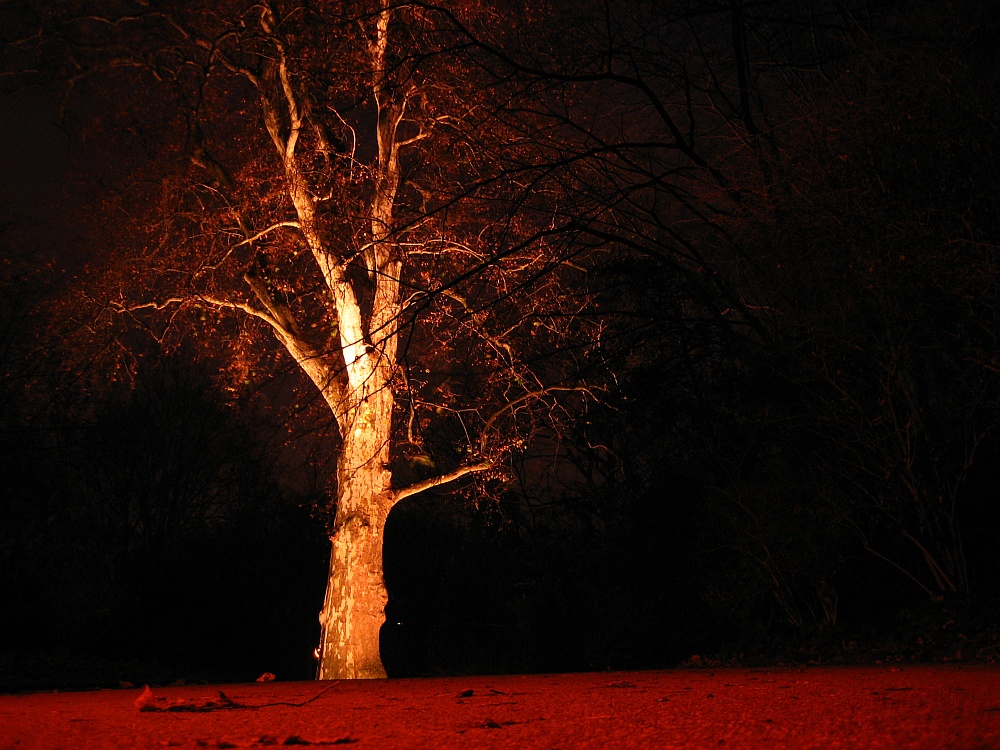 Blair Witch Düsseldorf