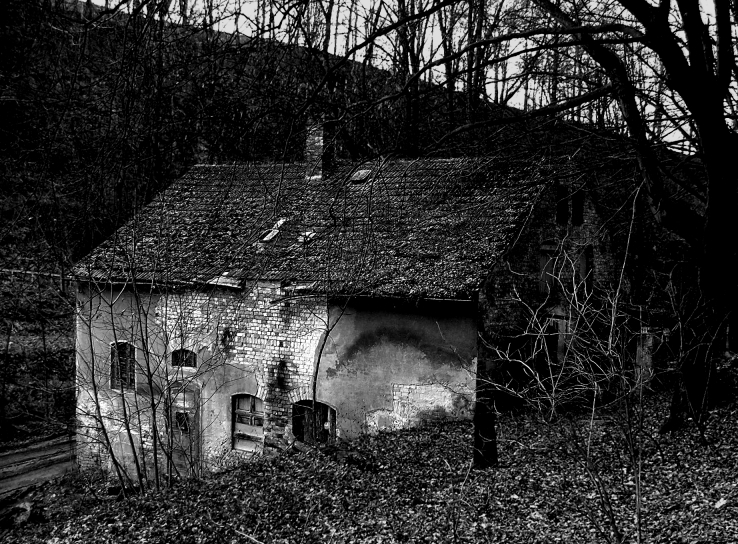 blair witch-house