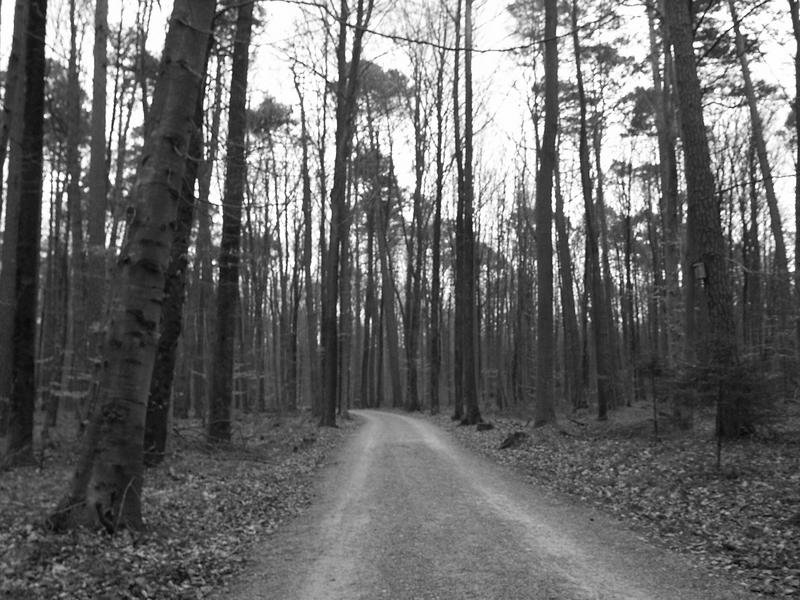 Blair Witch im Sieben-Tisch-Wald