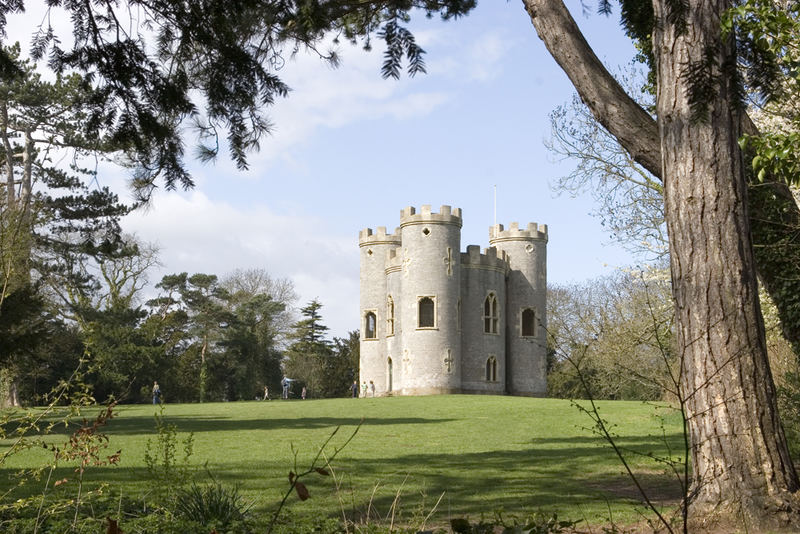 Blaise Folly (framed)