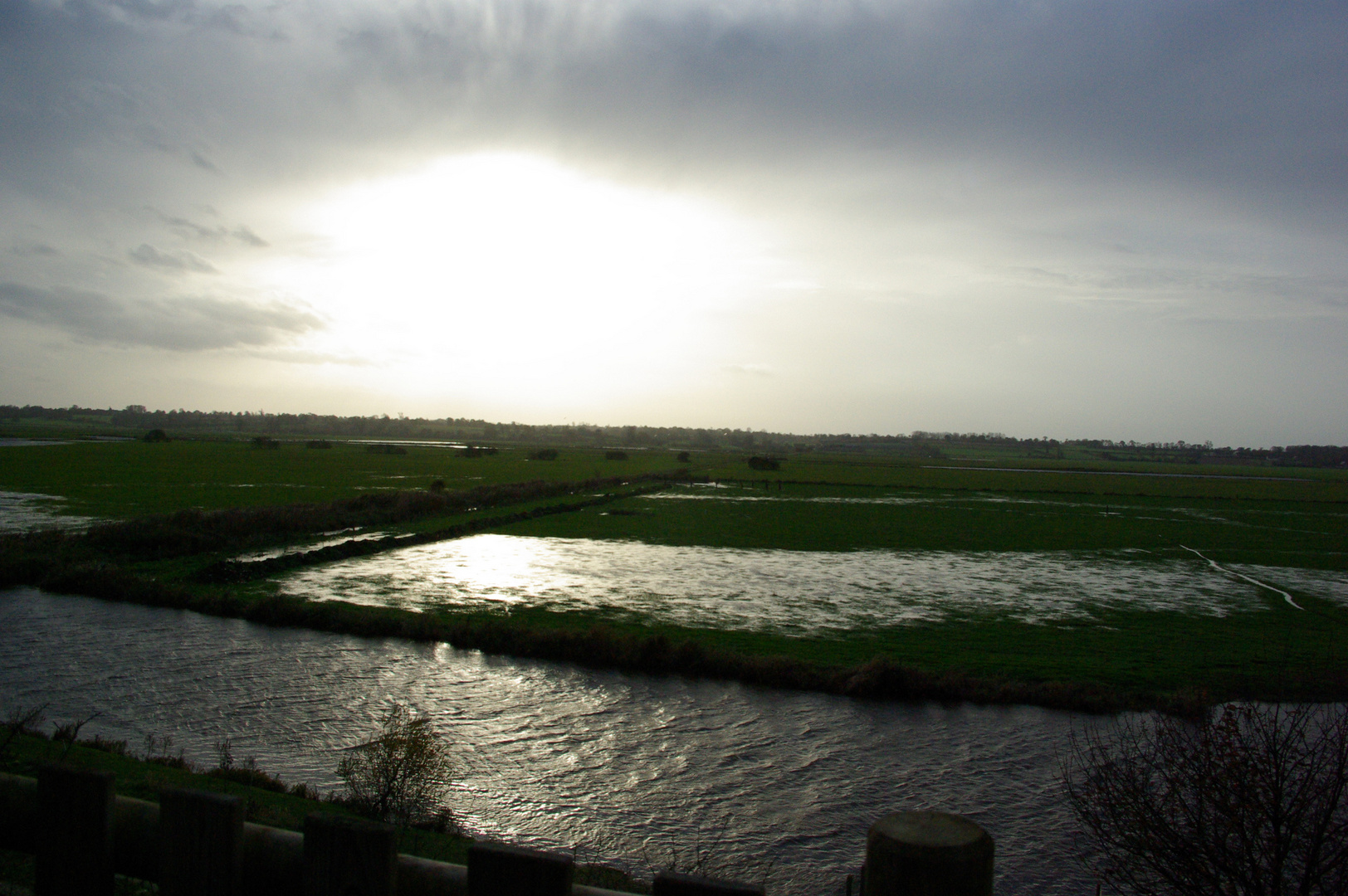 blanc-gris du marais