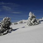 Blanc manteau acte 1