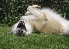 Blanca in unserem Garten