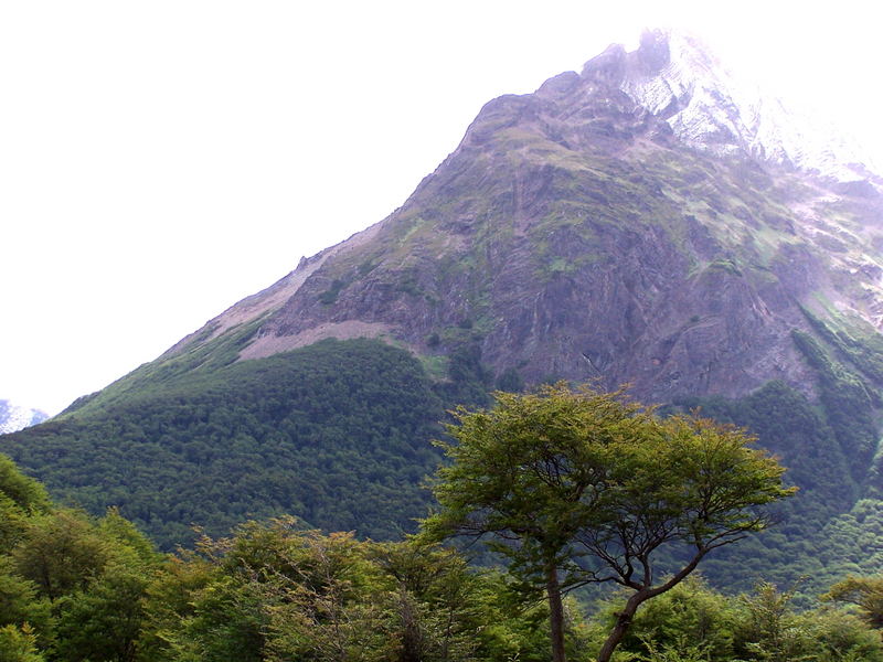 Blanca naturaleza de Ushuaia