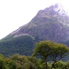 Blanca naturaleza de Ushuaia