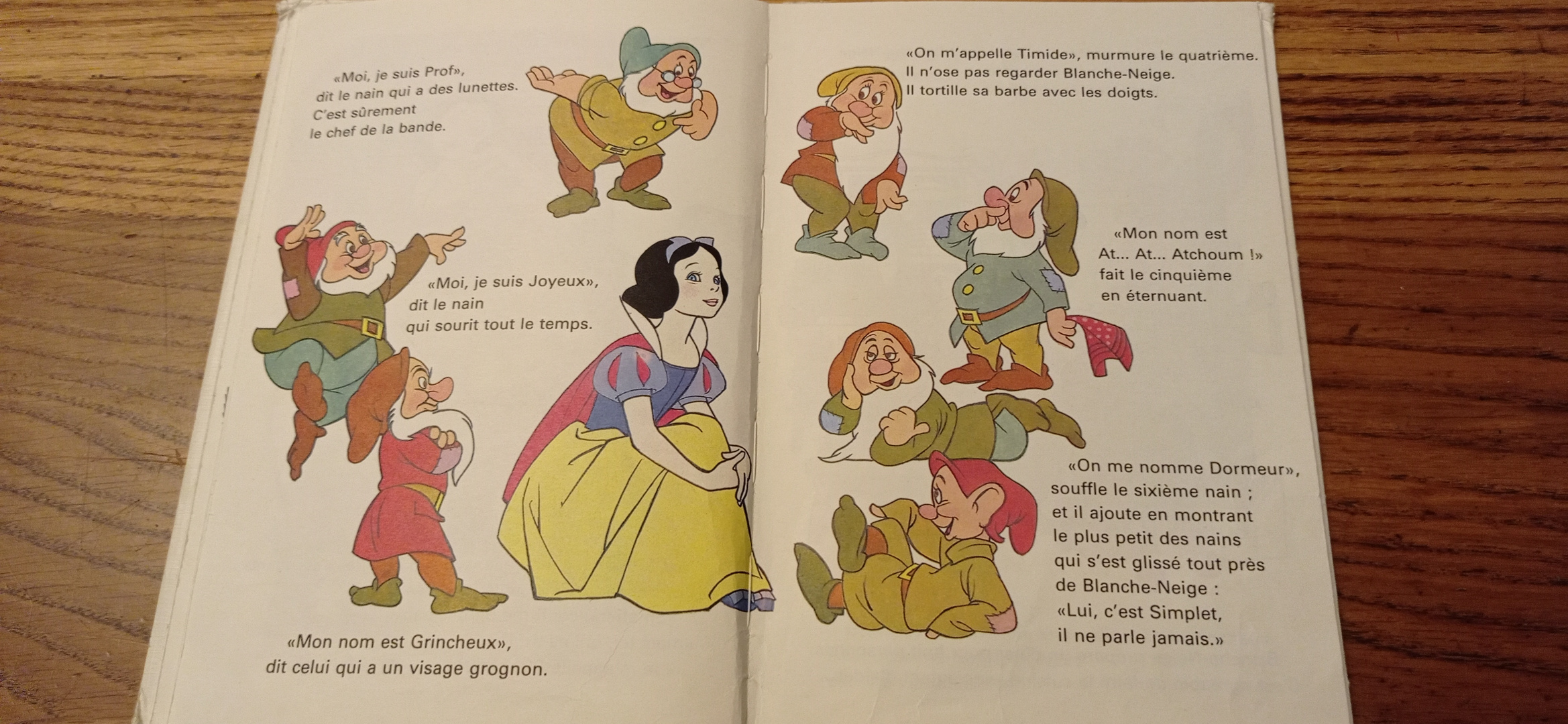 Blanche Neige et les 7 nains