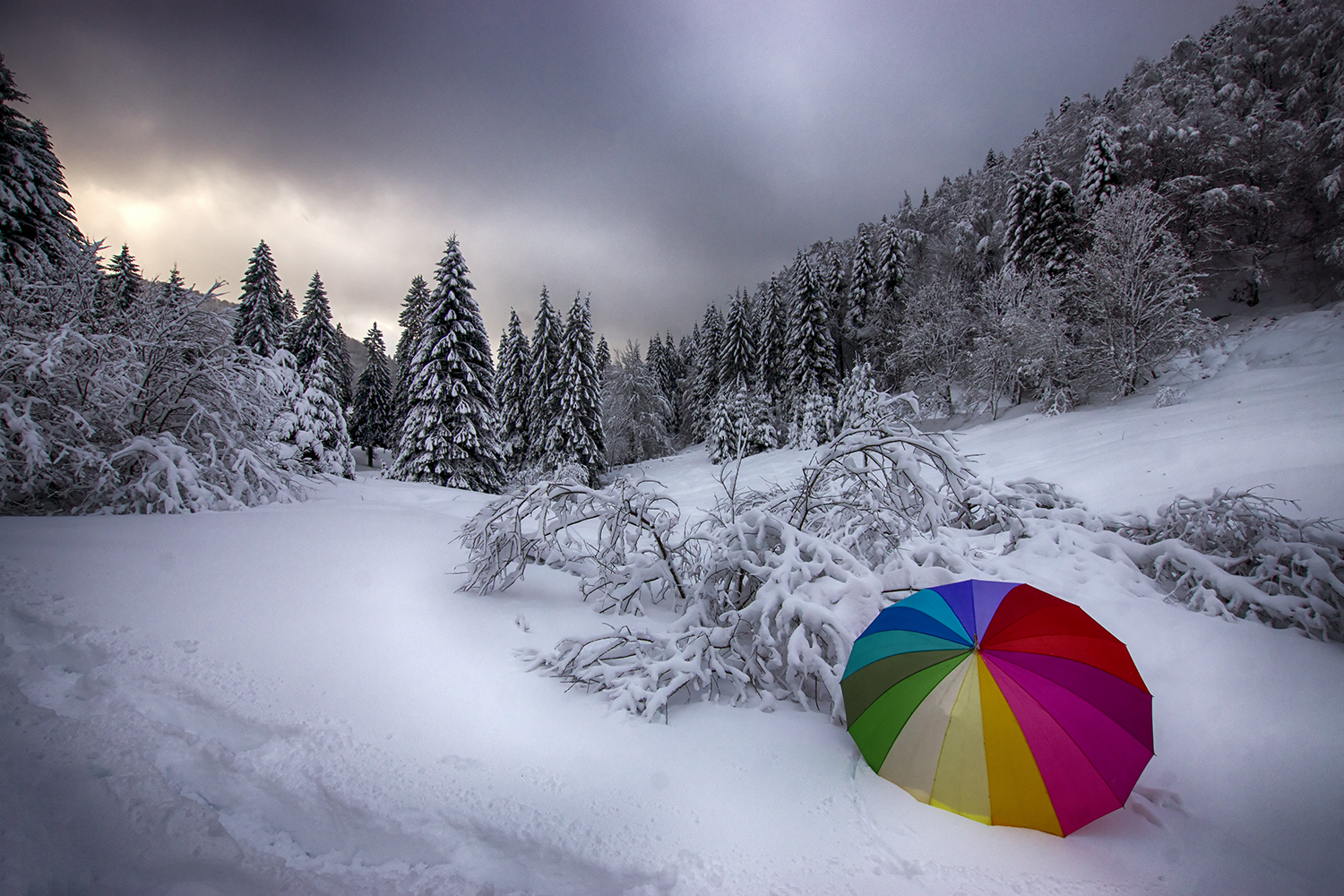 Blancheur colorée