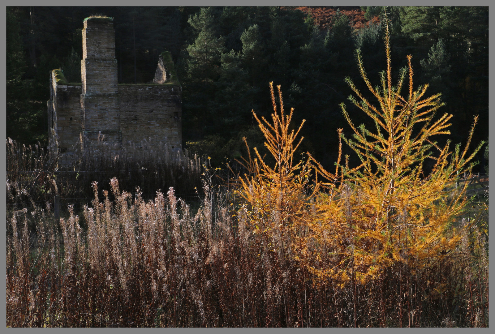 Blanchland, Northumberland, England