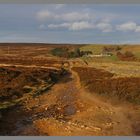 Blanchland, Northumberland, England