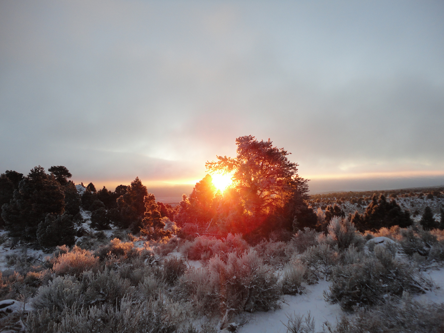 blanco amanecer