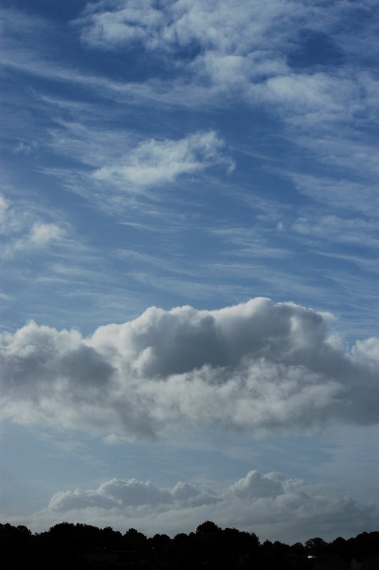 Blanco sobre azul