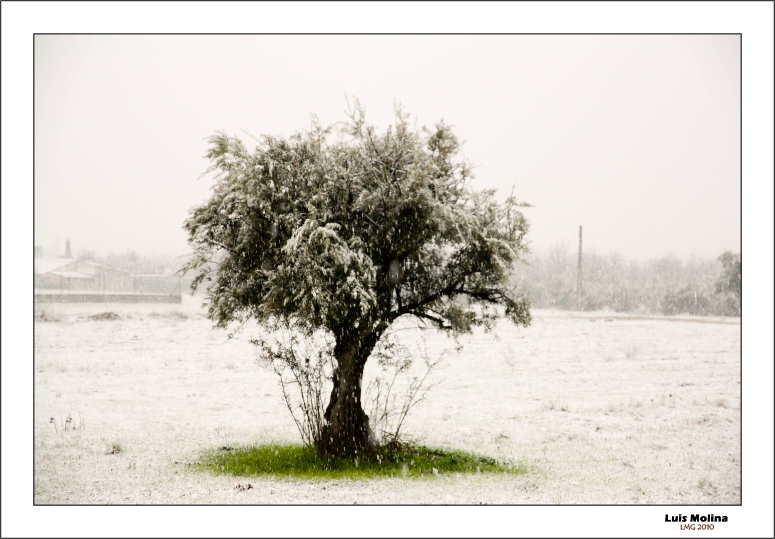 Blanco sobre Verde