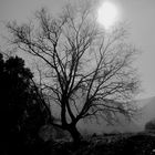 BLANCO Y NEGRO EN LA SIERRA DE CAZORLA