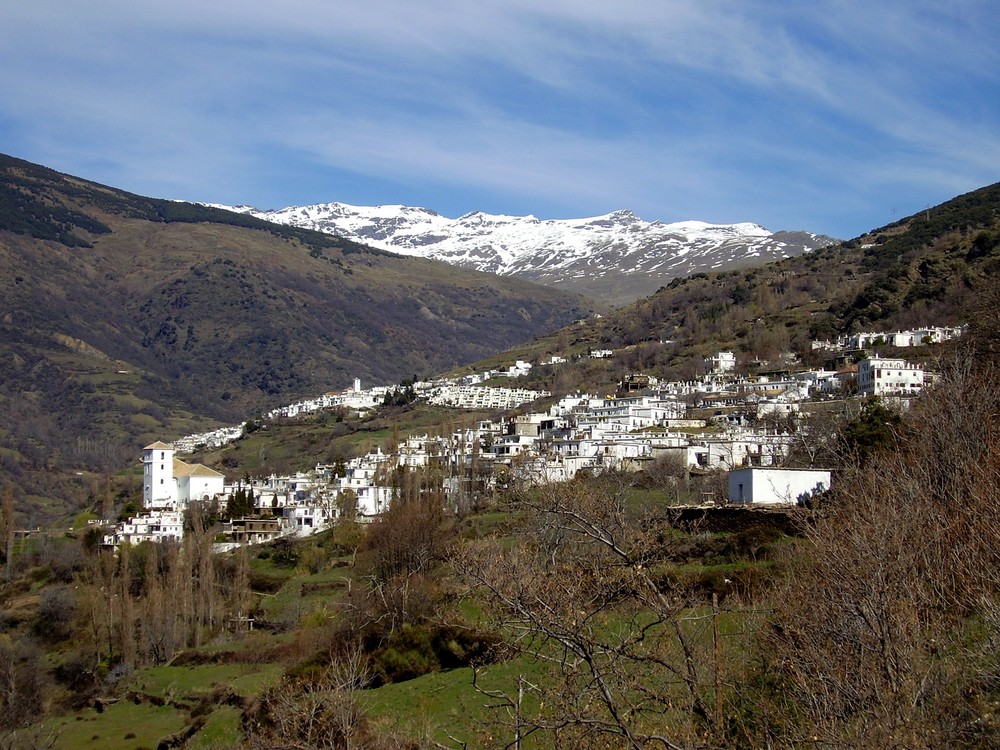 Blancos bajo blanco...