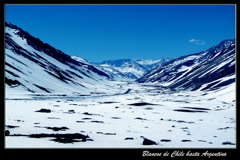 Blancos caminos