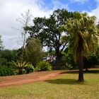 Blandys Garden Madeira