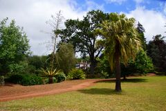 Blandys Garden Madeira