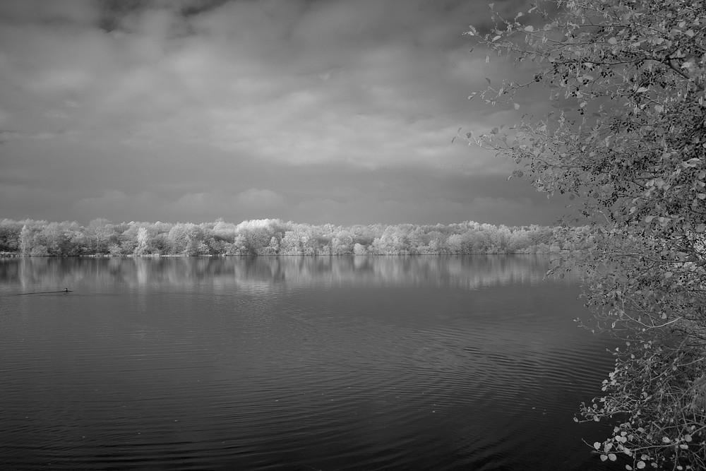 Blankenburger see IR