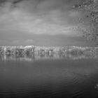 Blankenburger see IR