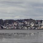 Blankenese