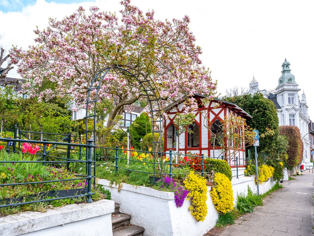 Blankenese - Garten am Strandweg 