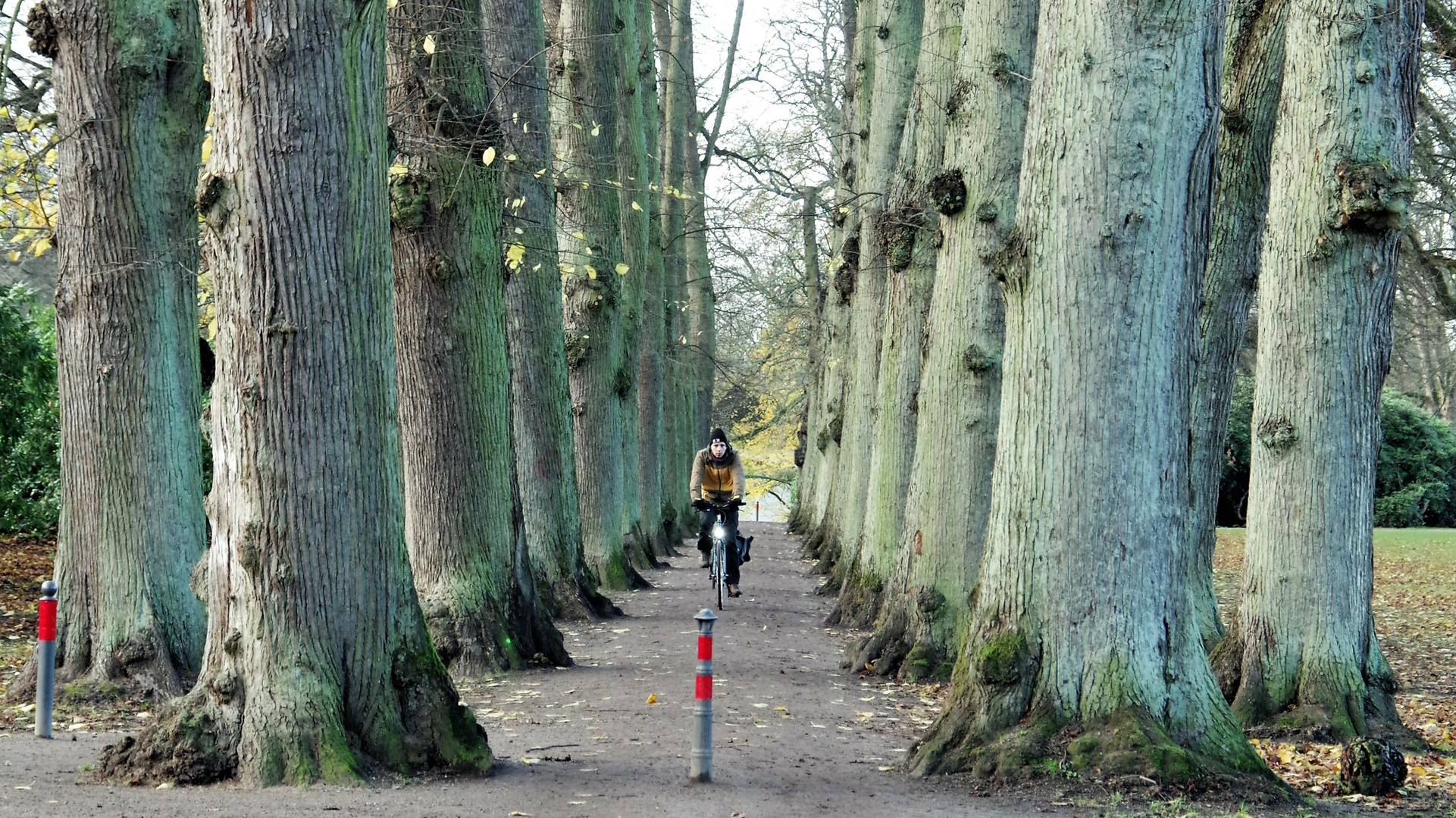 Blankenese - Hirschpark