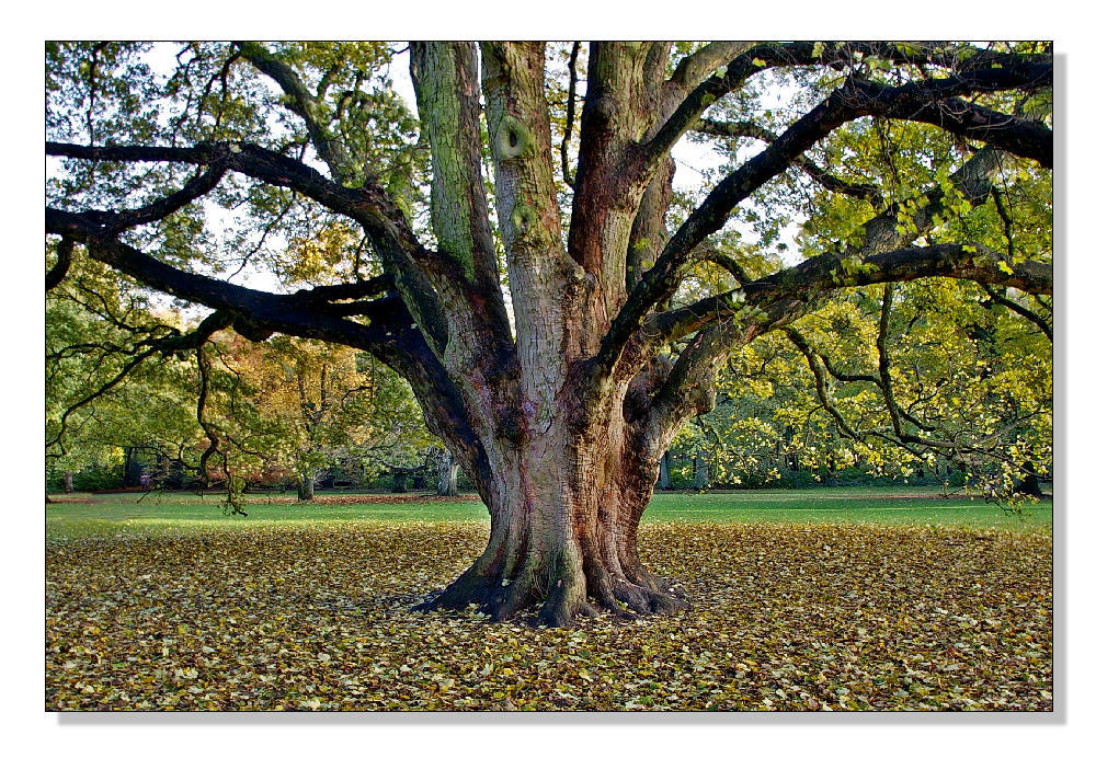 Blankenese, im Hirschpark