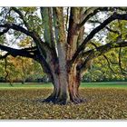 Blankenese, im Hirschpark