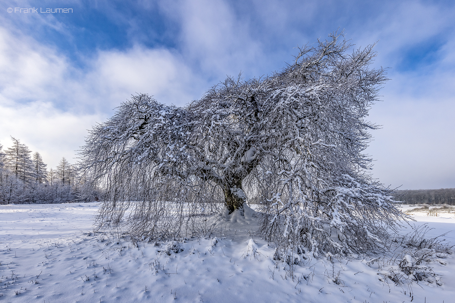 Blankenheim in der Eifel