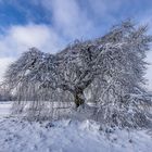 Blankenheim in der Eifel