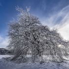 Blankenheim in der Eifel