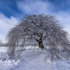 Blankenheim in der Eifel