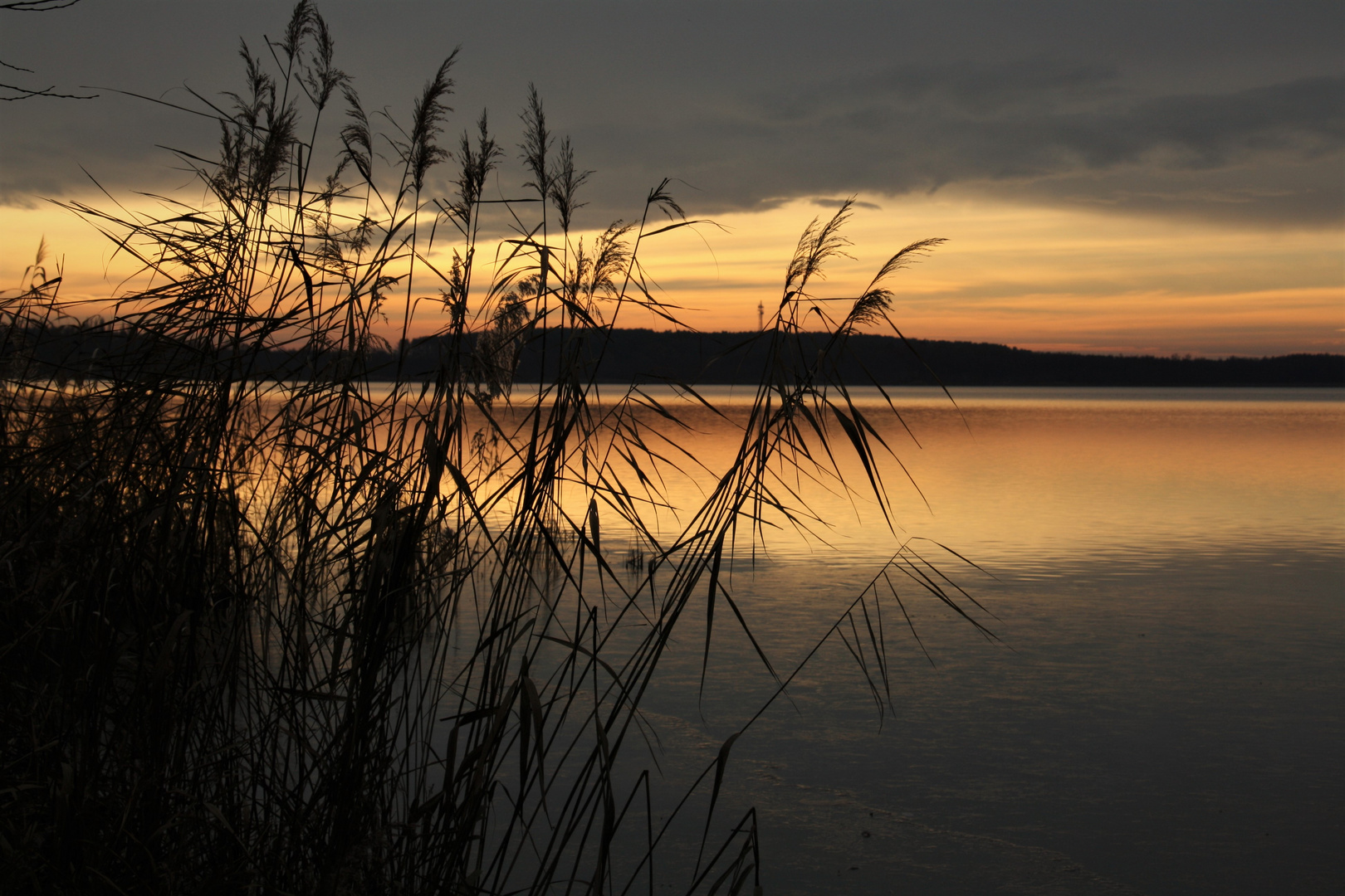 Blankensee