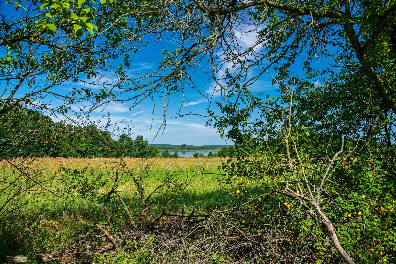 Blankensee