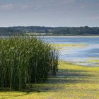 Blankensee im Hochsommer