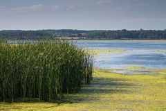 Blankensee im Hochsommer