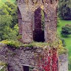 Blarney