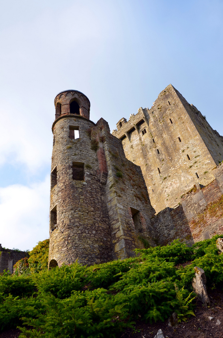 Blarney Castle