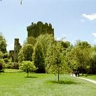 Blarney Castle...