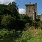 Blarney Castle...