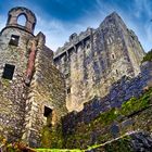 Blarney Castle