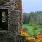 Blarney Castle (I)