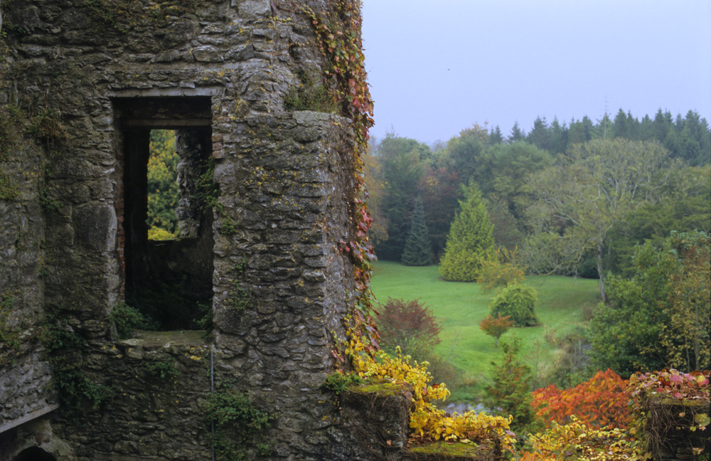 Blarney Castle (I)