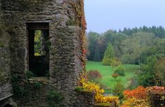 Blarney Castle (I)