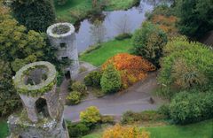 Blarney Castle (II)